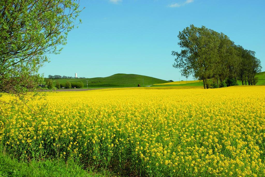Vallebergaslaett Loderup Luaran gambar