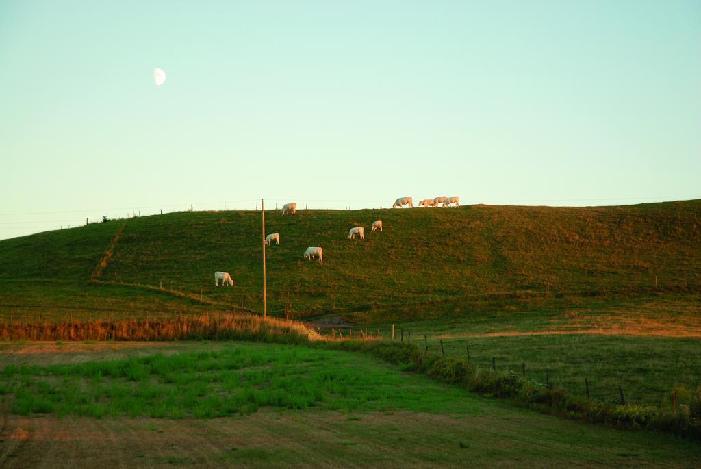 Vallebergaslaett Loderup Luaran gambar